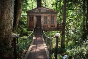 Ayu's dream tree house